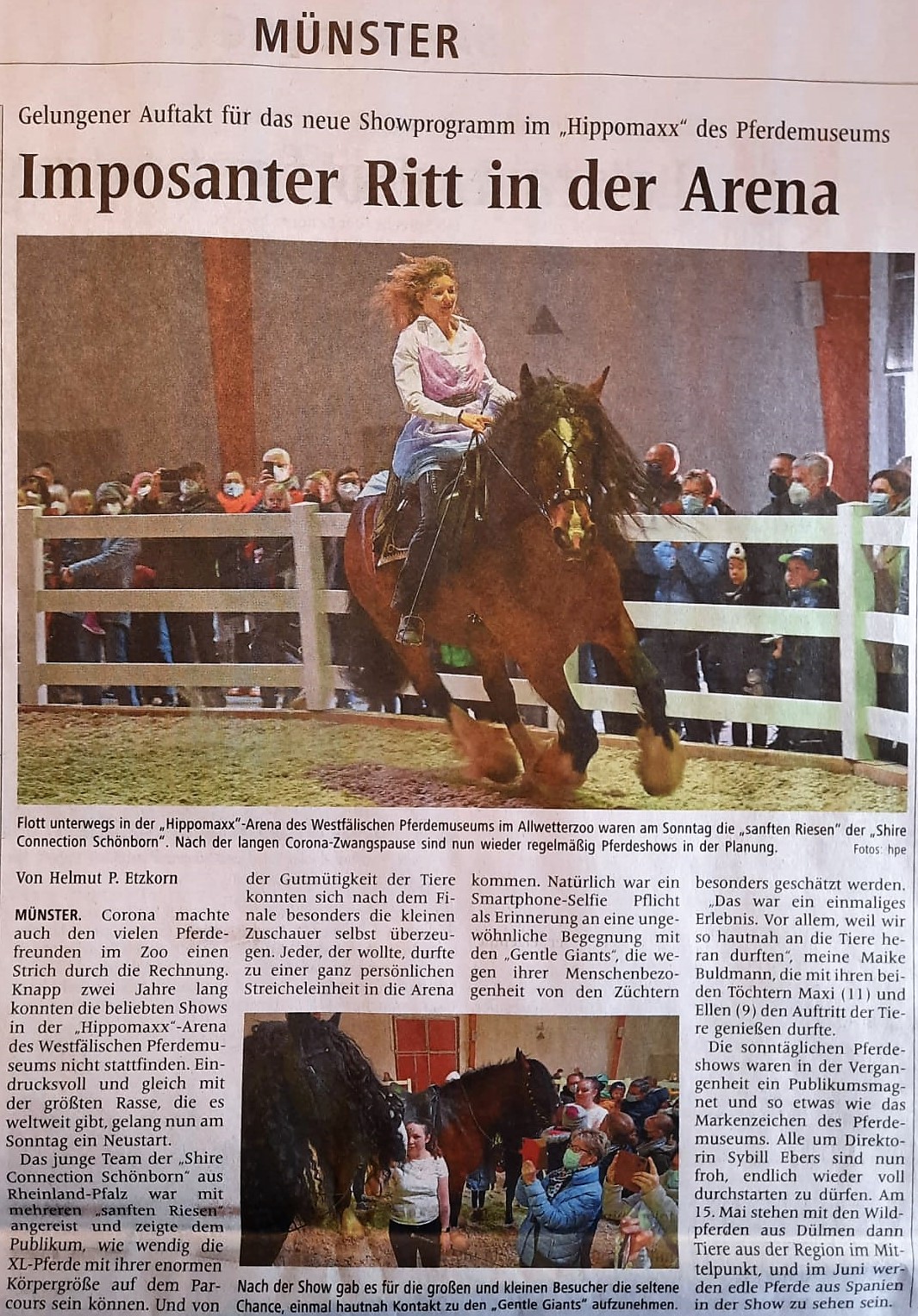 Shire Horse in der Regionalzeitung